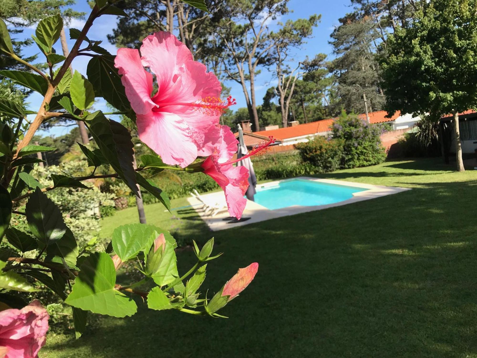 El Gauchito Vila Punta del Este Exterior foto